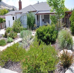 California Native Gardens